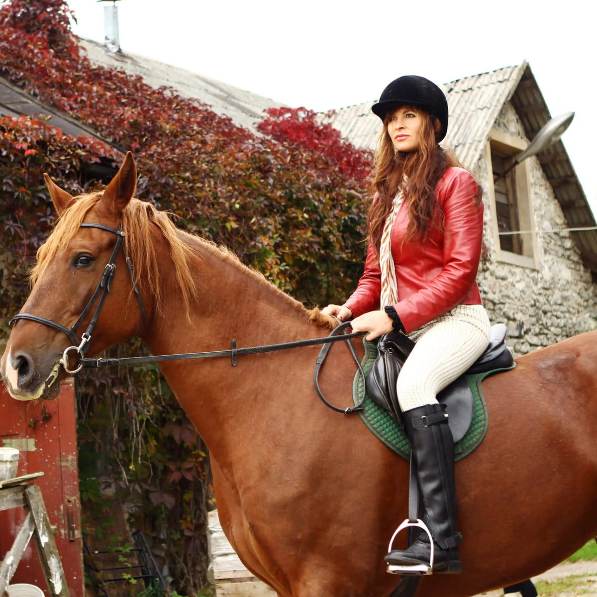 Women's Riding Instrument Accessorize Your Ride: Must-Have Horse Riding