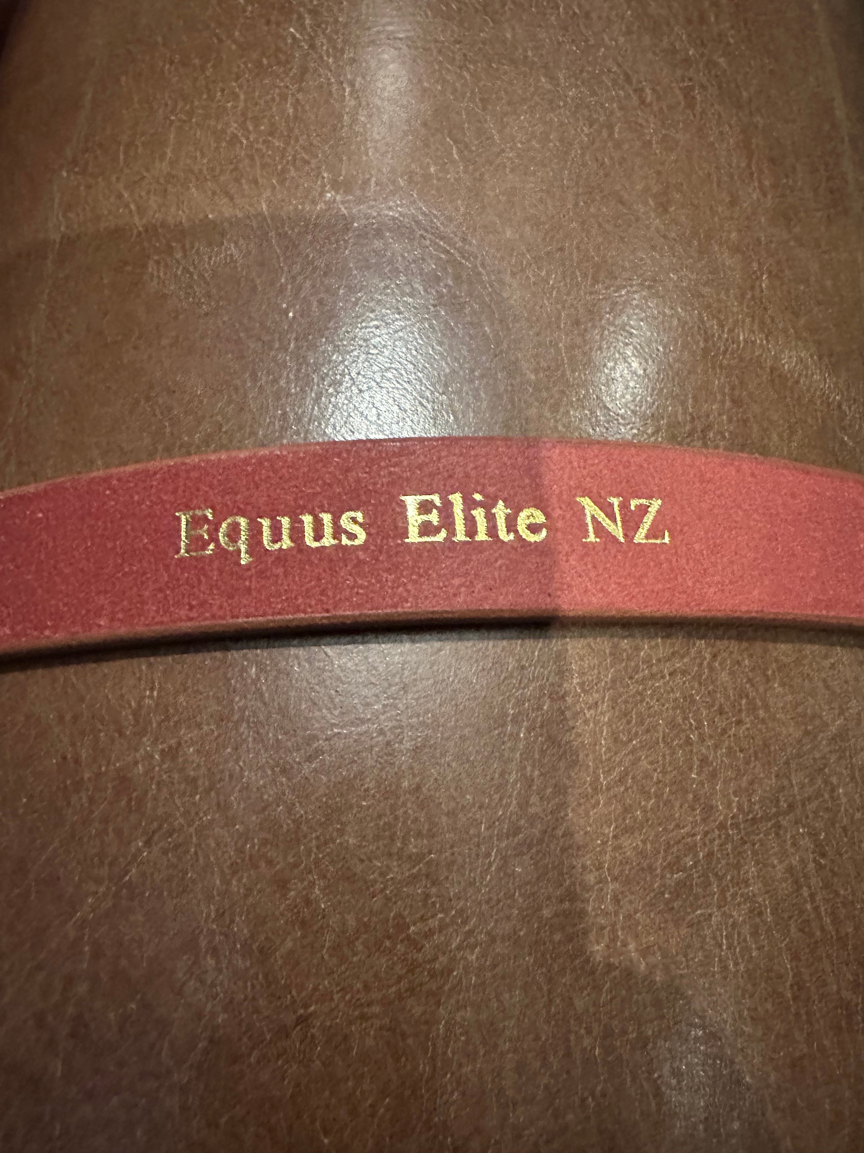 Leather Hyde belt with red Equus Elite NZ band, perfect for breeches or show shirts