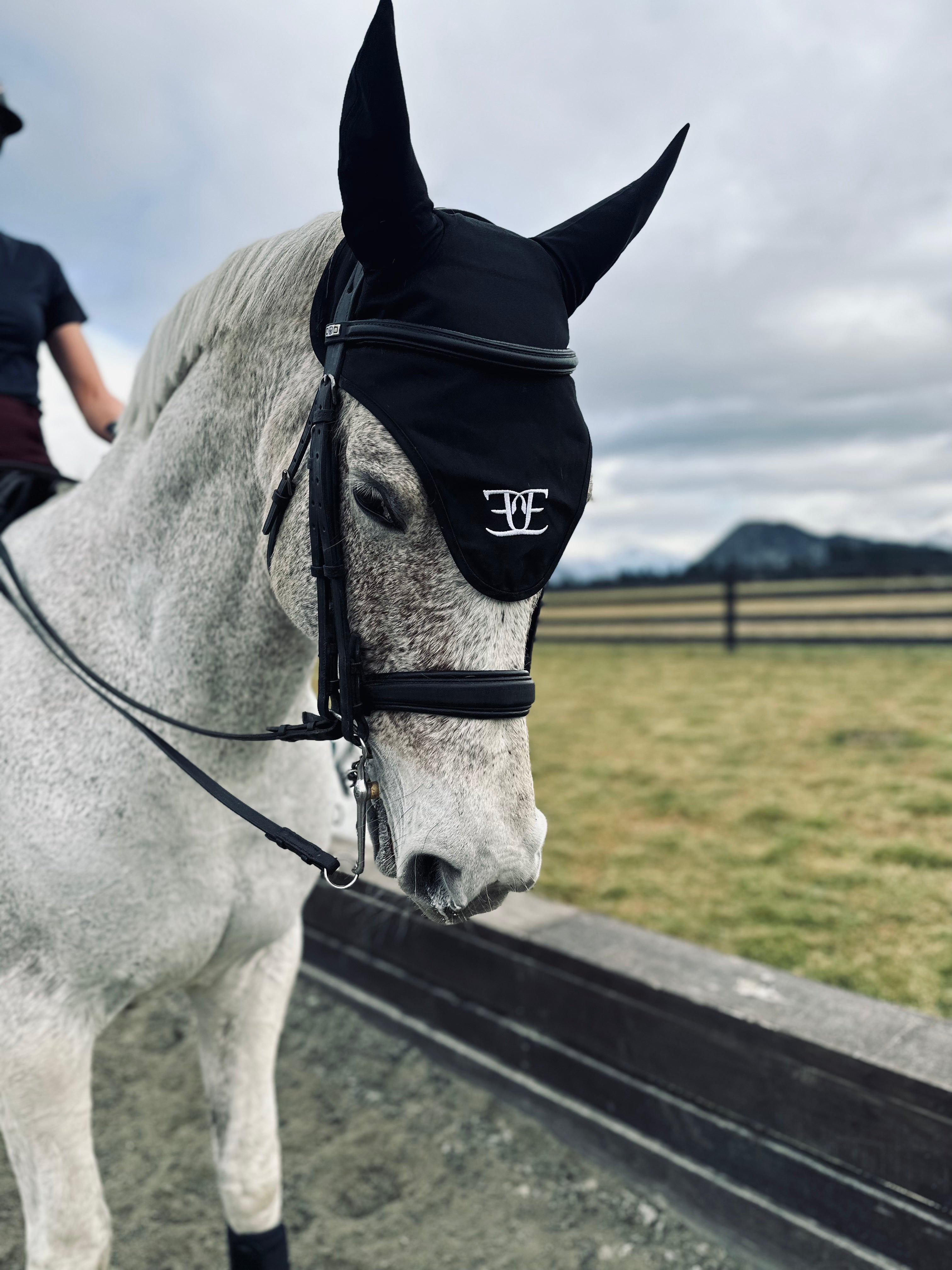 Gray horse in a black fly mask and bridle, paired with Equestrian Ear Bonnet