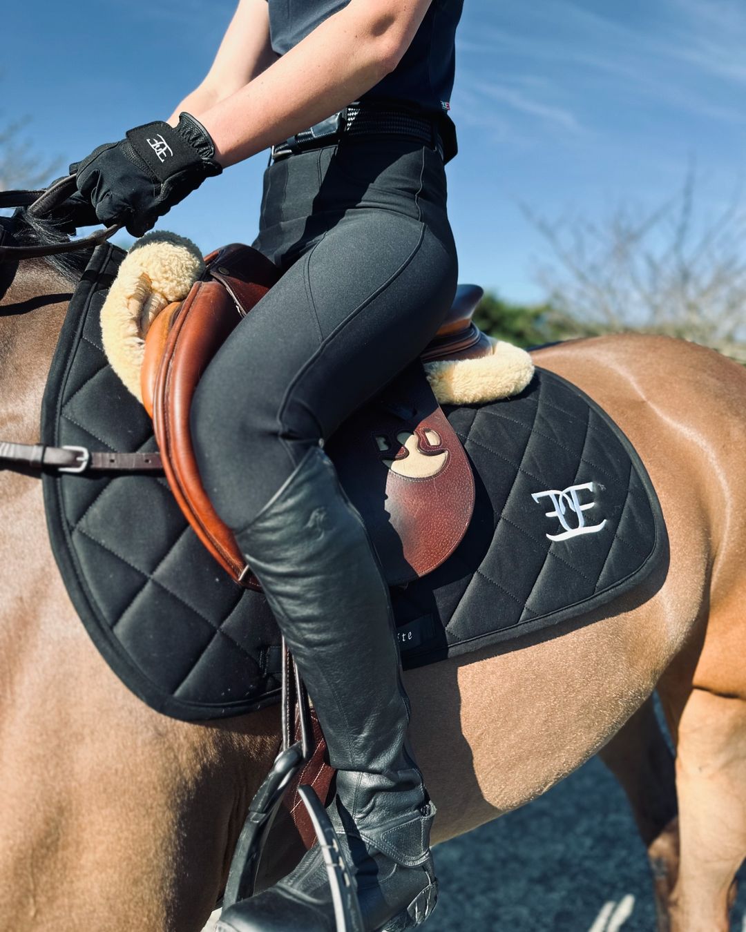 Horse and rider in equestrian attire showcasing Staple Black Breeches